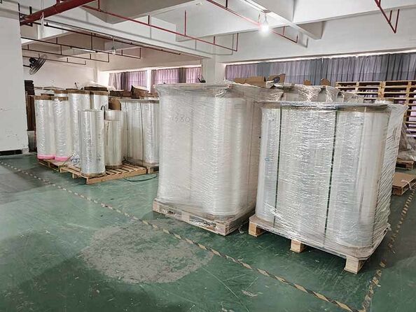 Shenzhen Xianzi Bio technology Co., Ltd. manufacturer production line