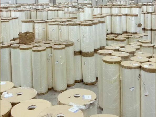 Shenzhen Xianzi Bio technology Co., Ltd. manufacturer production line